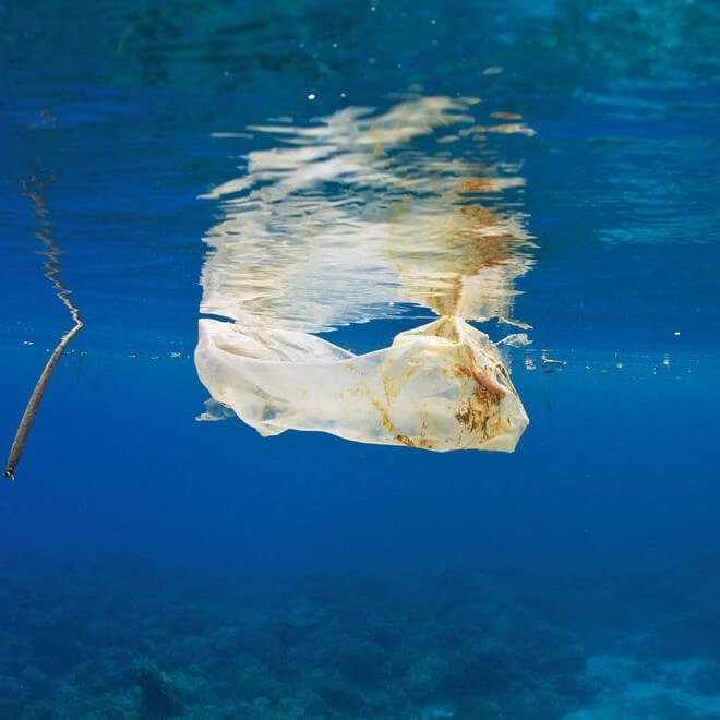 海ゴミの出所20カ国を特定