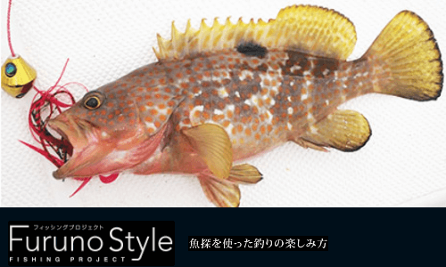 FurunoStyle　『魚に逢いたくて』　ハタ類とカサゴ類の釣り分けを解説　キジハタを追う