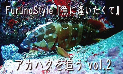 FurunoStyle 『魚に逢いたくて』今回はアカハタ　海底の把握がポイント