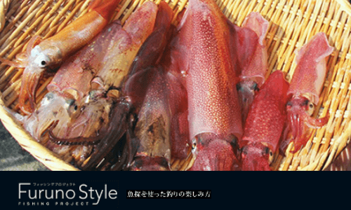 FurunoStyle 『魚に逢いたくて』　今回のターゲットは春先のマルイカ(ケンサキイカ)