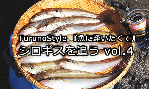 FurunoStyle 『魚に逢いたくて』良型のシロギスを釣り上げるには？