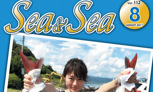瀬戸内情報満載！月刊フリペ「Sea&Sea8月号電子版」海水温上昇 エンジントラブルの原因は？
