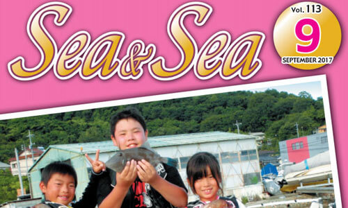 瀬戸内情報満載！月刊フリペ「Sea&Sea9月号電子版」青いイワシに赤い鯛…魚の色の秘密