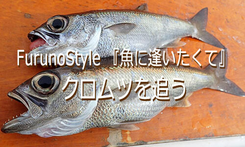 FurunoStyle 『魚に逢いたくて』海底拡大機能を駆使してクロムツをゲット！