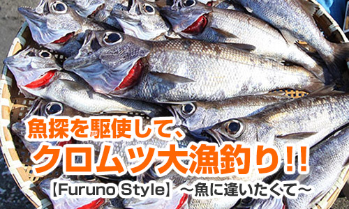 魚探を駆使して「クロムツ大漁釣り!!」【Furuno Style】