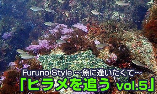 海底に隠れるヒラメを探せ!!【Furuno Style】