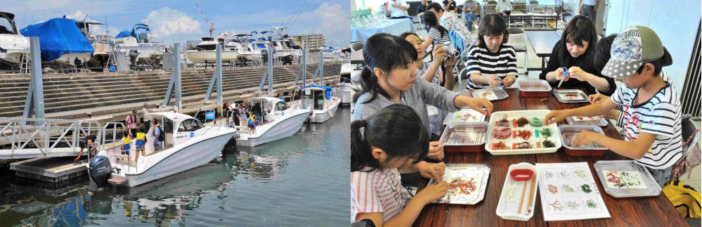 海藻おしば教室とボート体験乗船