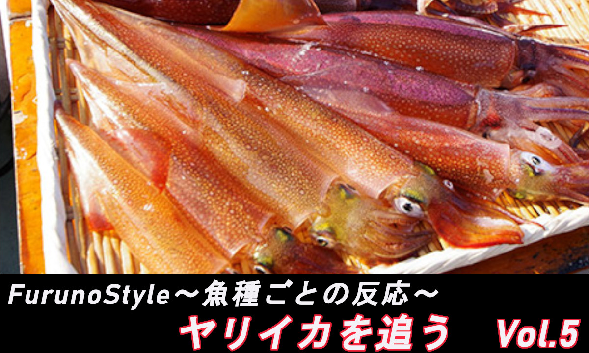 新着！フルノスタイル～魚種ごとの反応～【ヤリイカを追う Vol.5】