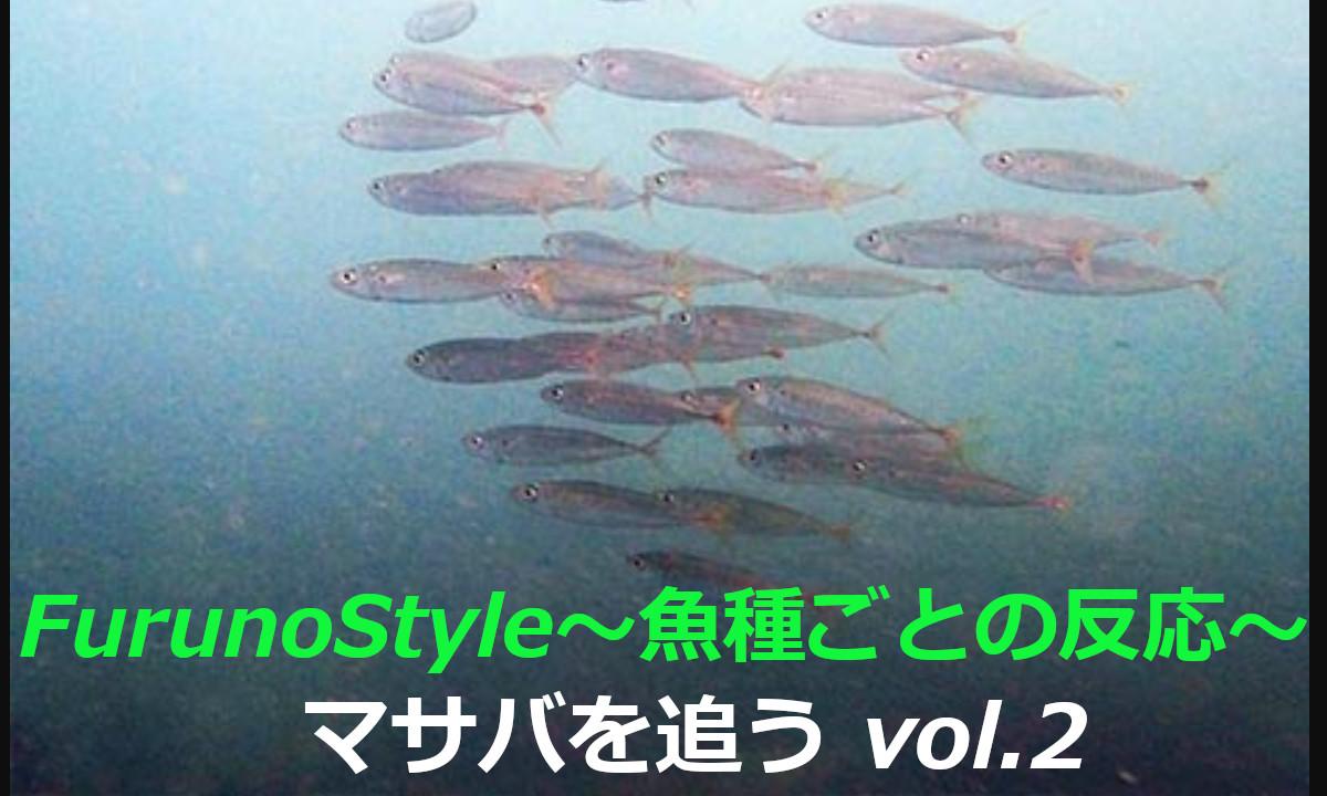 新着！フルノスタイル～魚種ごとの反応～【マサバを追う Vol.2】