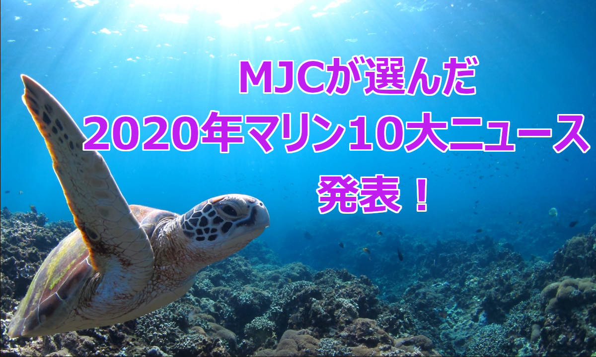 MJCが選ぶ 「2020年マリン10大ニュース」 を発表！