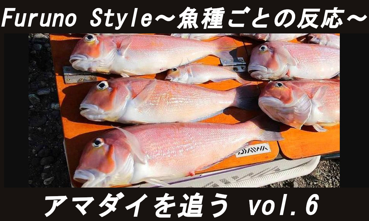 新着！フルノスタイル～魚種ごとの反応～【アマダイを追う Vol.6】