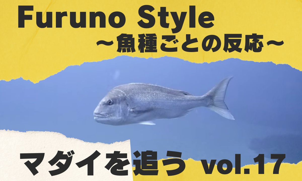 【フルノ新着】魚探を駆使しマダイを追う！