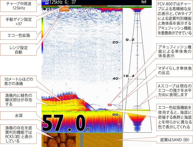 マダイを追うvol.17魚探画像