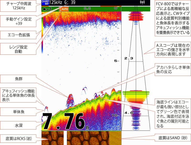 アカハタを追うvol.6魚探画像th=