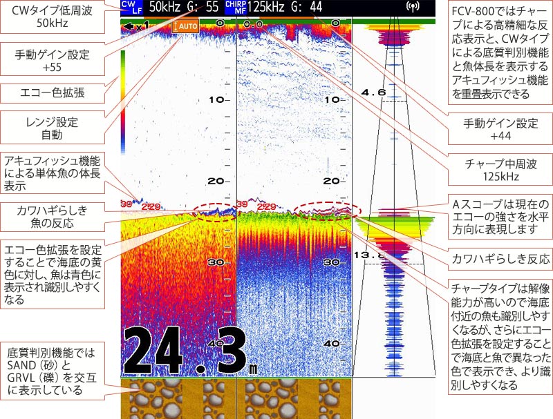 カワハギを追う vol.9魚探画像