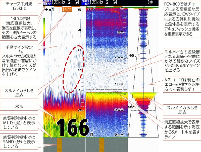 スルメイカを追う vol.6魚探画像