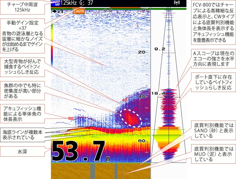 青物を追う vol.7魚探画像