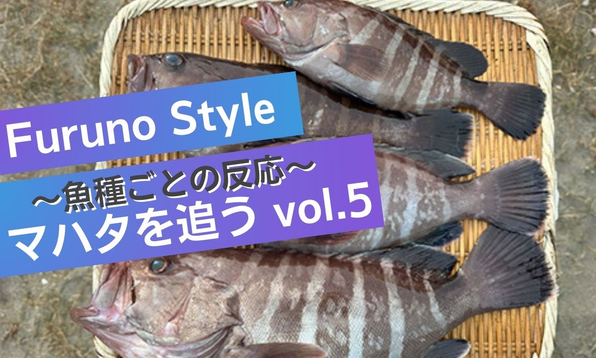 スキューバ観察×魚探分析で探るマハタの生息域と攻略法