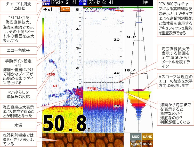 マハタを追う vol.5魚探映像