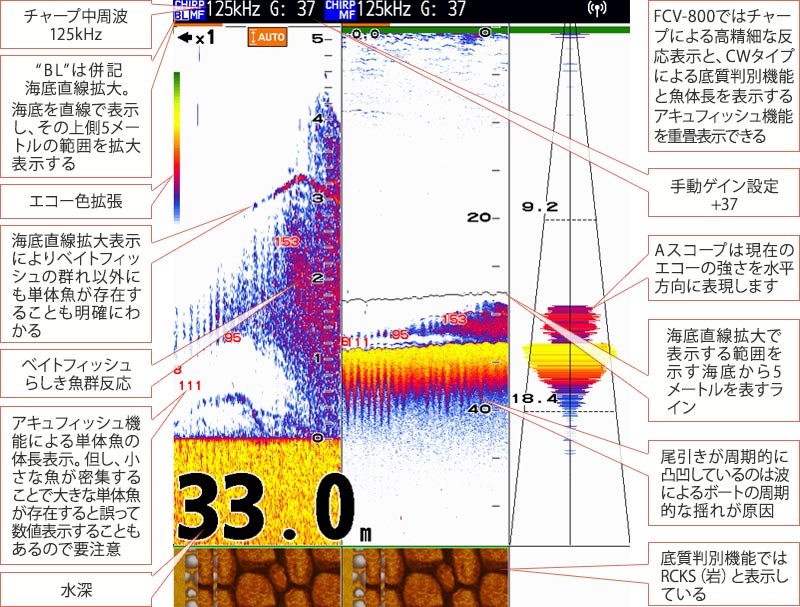 カンパチを追う vol.7魚探画像