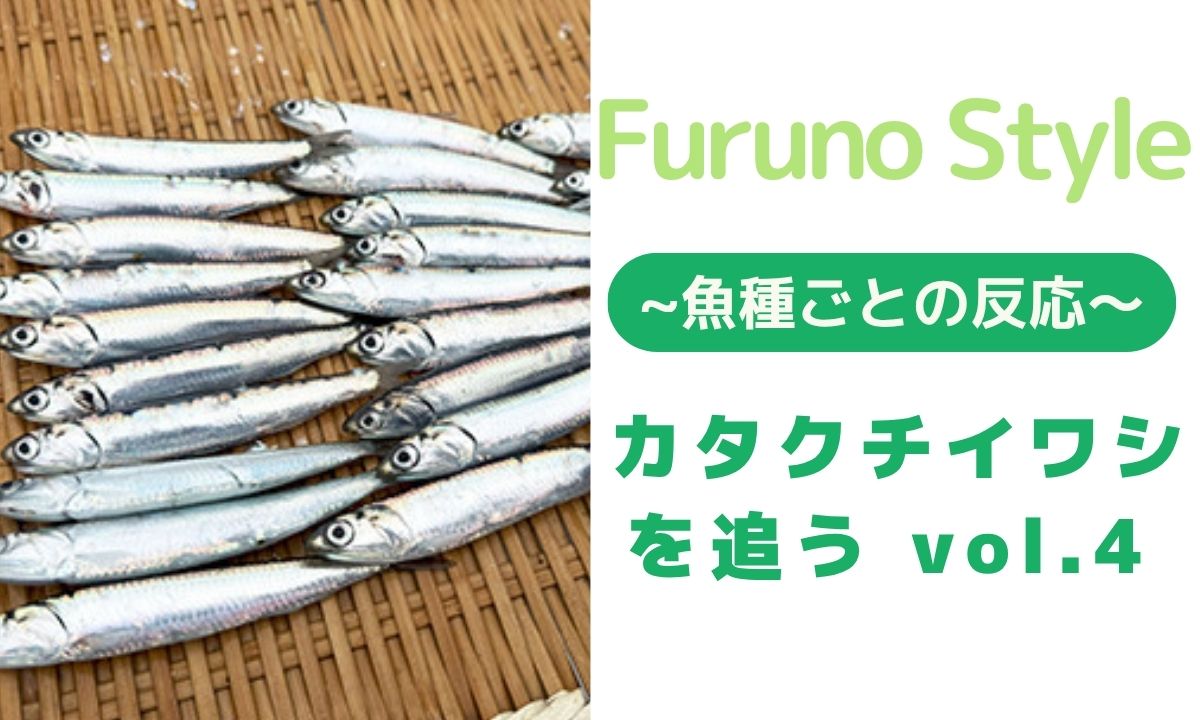 【フルノ新着】魚探で見極める！イワシの群れと大物の気配