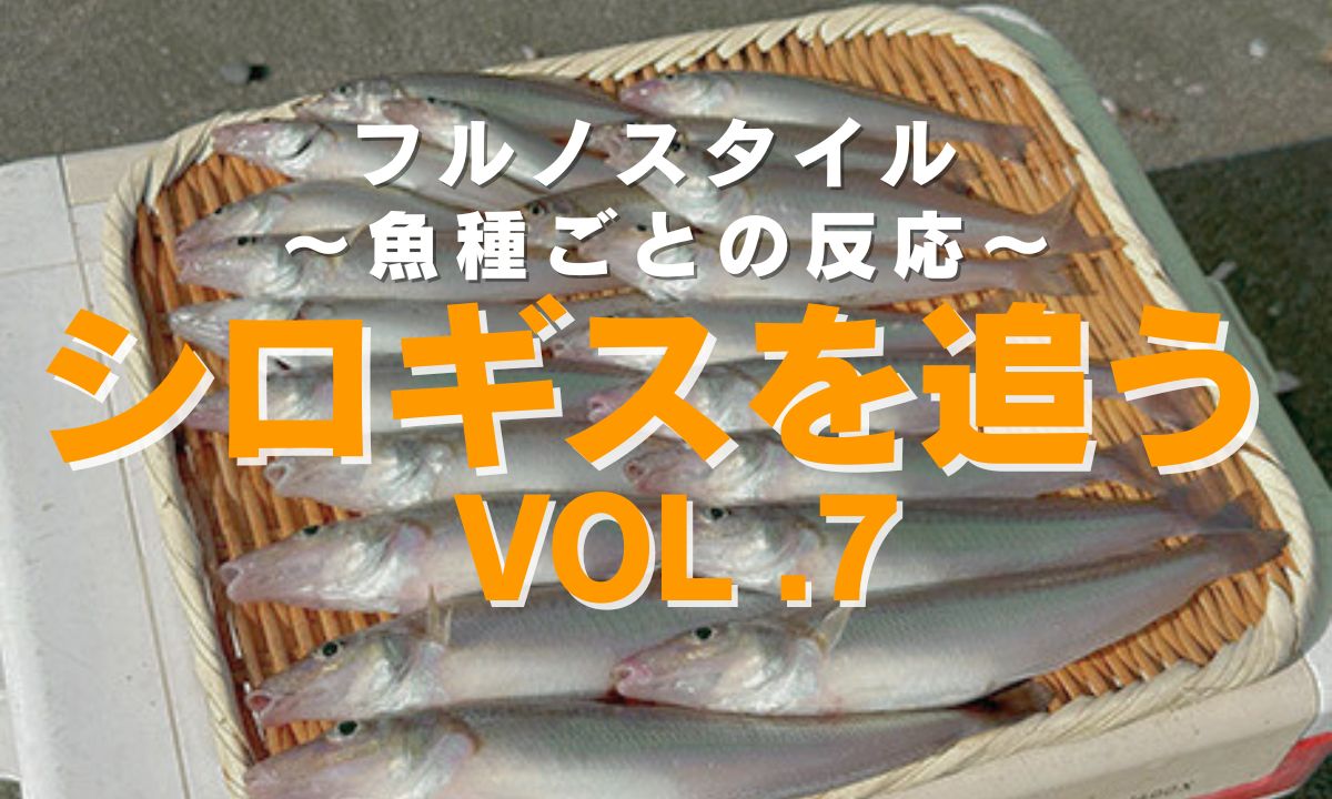 【フルノ新着】シロギスを狙え！魚探を活用した“海底読み”の極意とは？