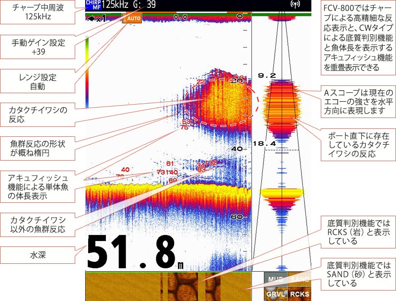 カタクチイワシを追う vol.4魚探画像