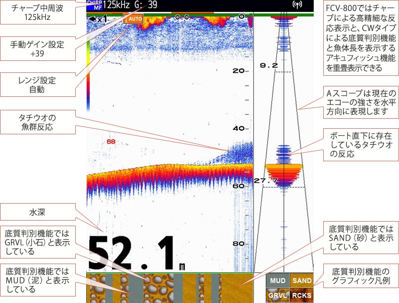 タチウオを追う vol.6魚探画像