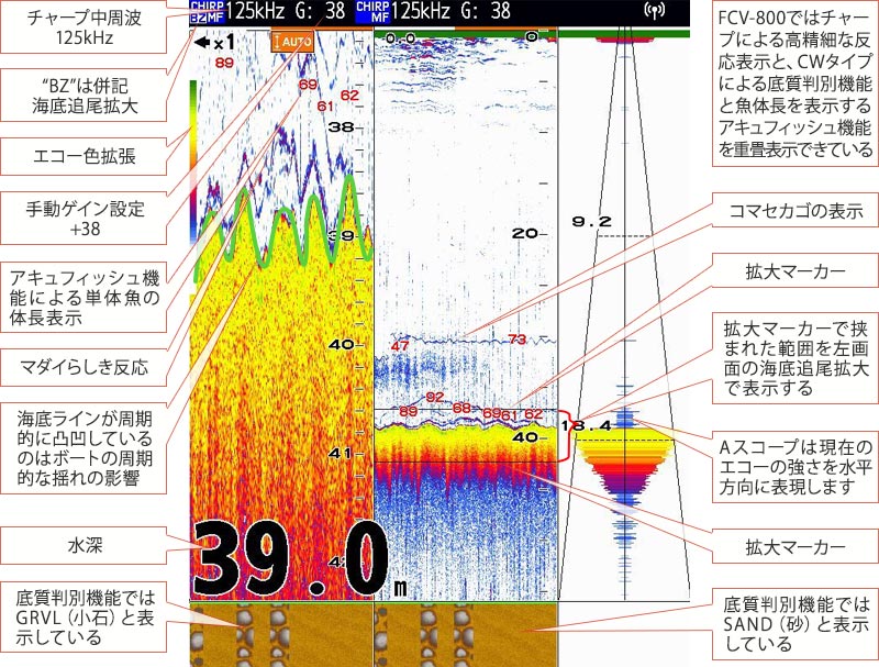 マダイを追う vol.18魚探映像