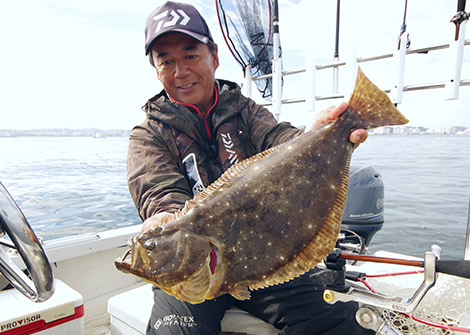 ヒラメを追う vol.8ヒラメ画像