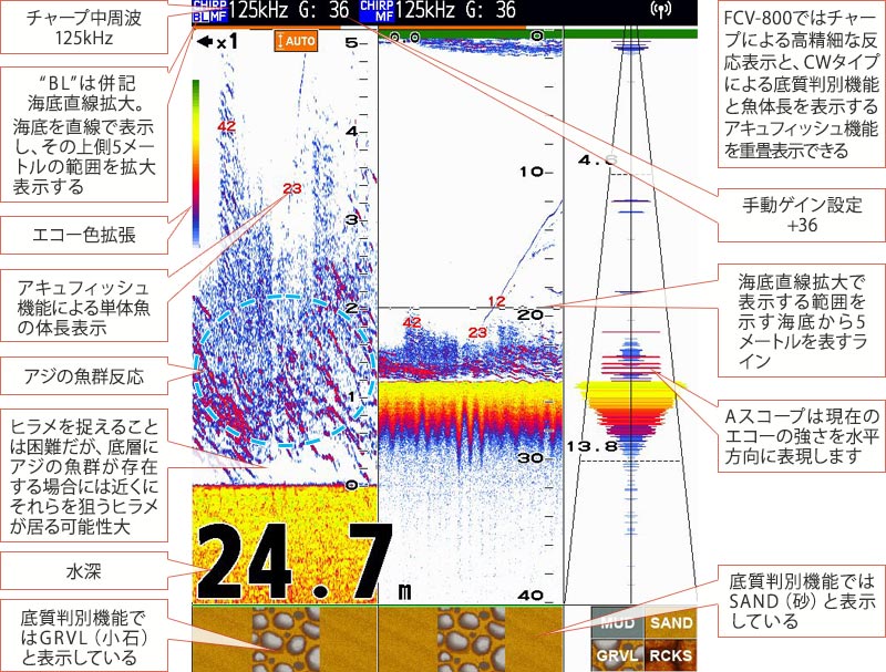 ヒラメを追う vol.8魚探映像