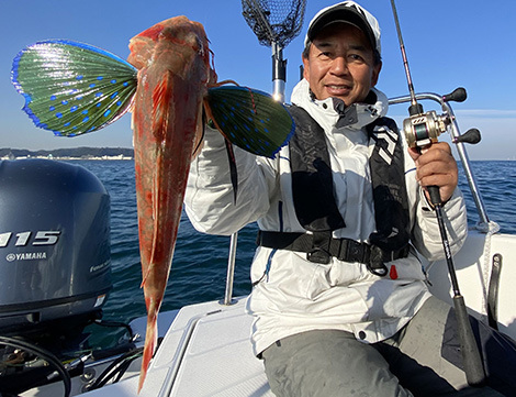 ホウボウを追う vol.2 画像