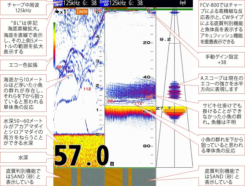 アマダイを追う vol.8魚探画像