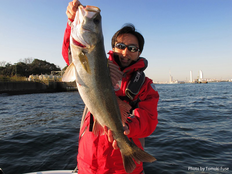 シーバスフィッシング画像