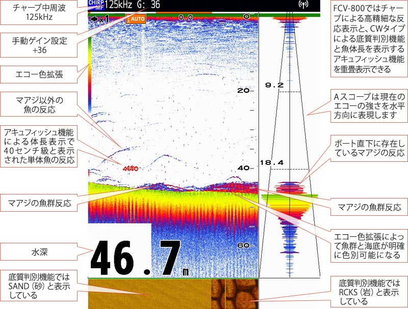 フルノスタイル マアジvol.13魚探画像