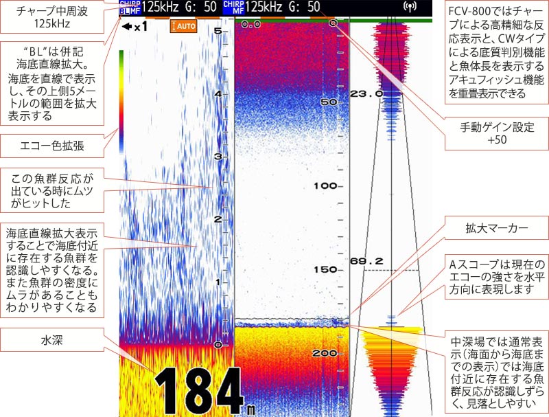 クロムツを追う vol.4魚探画像