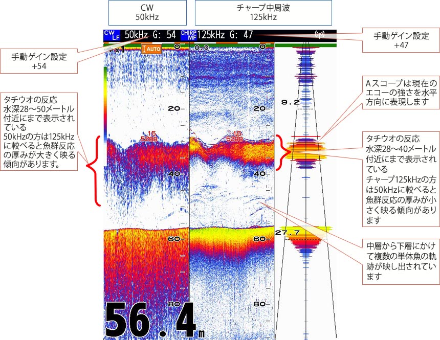 タチウオを追う vol.7魚探画像