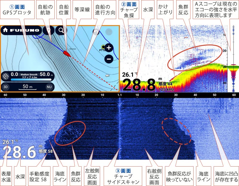 マアジを追う vol.14魚探画像